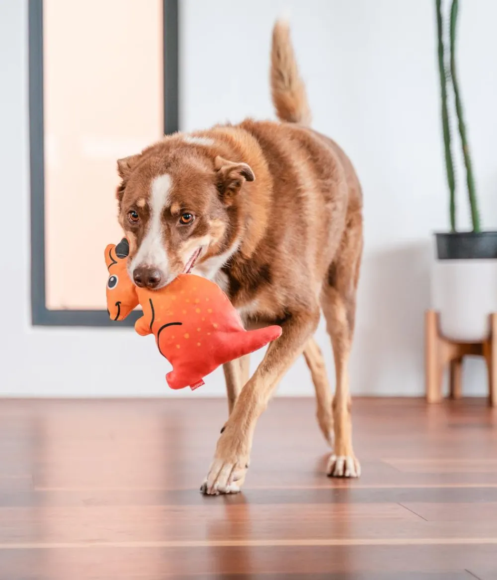 Red Dingo Hundespielzeug DURABLES Toys Känguru Clearance