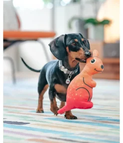 Red Dingo Hundespielzeug DURABLES Toys Känguru Clearance
