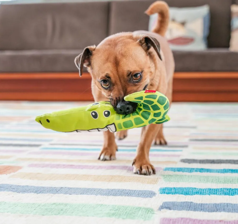 Red Dingo Hundespielzeug - Hundespielzeug DURABLES Toys Krokodil Grün