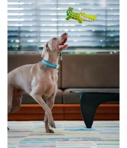 Red Dingo Hundespielzeug - Hundespielzeug DURABLES Toys Krokodil Grün
