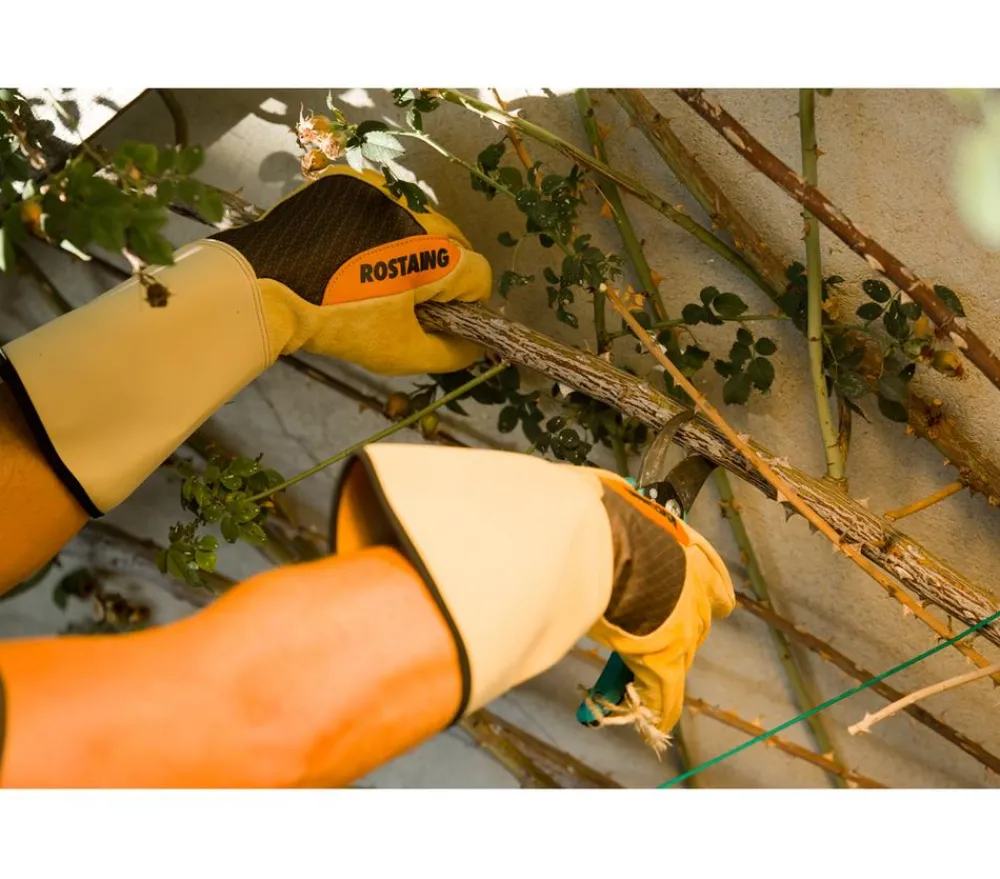 Rostaing Blumenzwiebel Zubehör|Gartenhandschuhe > Kalbsleder-Rosenhandschuh Roncier