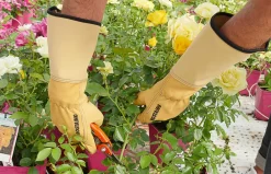 Rostaing Blumenzwiebel Zubehör|Gartenhandschuhe - Lederhandschuh Roseraie Gelb