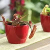 Dehner Rotblättrige Kannenpflanze - Nepenthes Discount