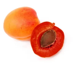 fleischige Aprikose 'Violet' Rot Outlet