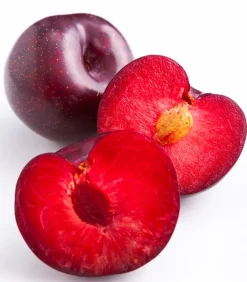 Obstbäume|Zwetschgen- & Pflaumenbäume - Rotfleischige Pflaume 'Giant' Dunkelrot