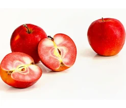 Dehner Obstbäume|Birnen- & Apfelbäume - fleischiger Apfel 'Baya Marisa' Rot