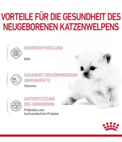 ROYAL CANIN® Nahrungsergänzung Katze > Babycat Milk, 300 g