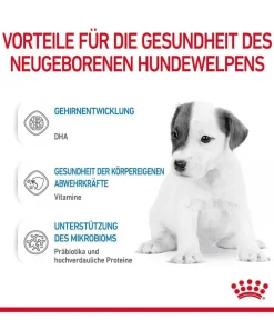 ROYAL CANIN® Nahrungsergänzung Hund - Babydog Milk