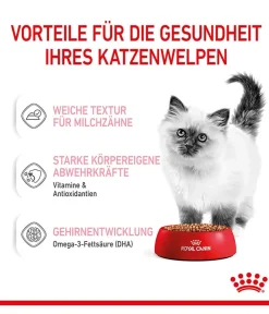 ROYAL CANIN® Nassfutter Katze > Nassfutter für Katzen Kitten in Soße, 12 x 85 g