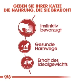 ROYAL CANIN® Nassfutter Katze > Nassfutter für Katzen Instinctive in Soße, 12 x 85 g