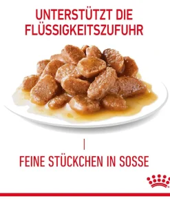 ROYAL CANIN® Nassfutter Katze > Nassfutter für Katzen Digestive Care in Soße, 12 x 85 g