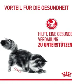 ROYAL CANIN® Nassfutter Katze > Nassfutter für Katzen Digestive Care in Soße, 12 x 85 g