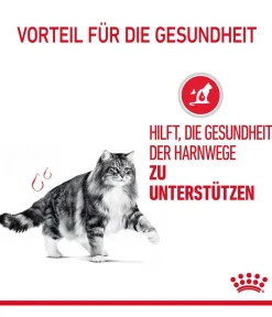 ROYAL CANIN® Nassfutter für Katzen Urinary Care in Soße, 12 x 85 g Sale