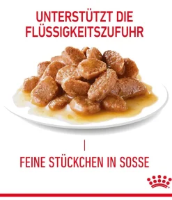 ROYAL CANIN® Nassfutter für Katzen Urinary Care in Soße, 12 x 85 g Sale