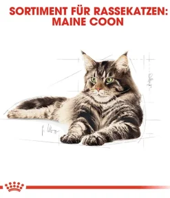 ROYAL CANIN® Nassfutter Katze > Nassfutter für Katzen Maine Coon Adult in Soße, 12 x 85 g