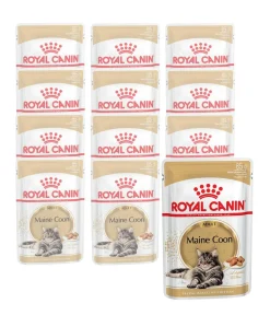 ROYAL CANIN® Nassfutter Katze > Nassfutter für Katzen Maine Coon Adult in Soße, 12 x 85 g