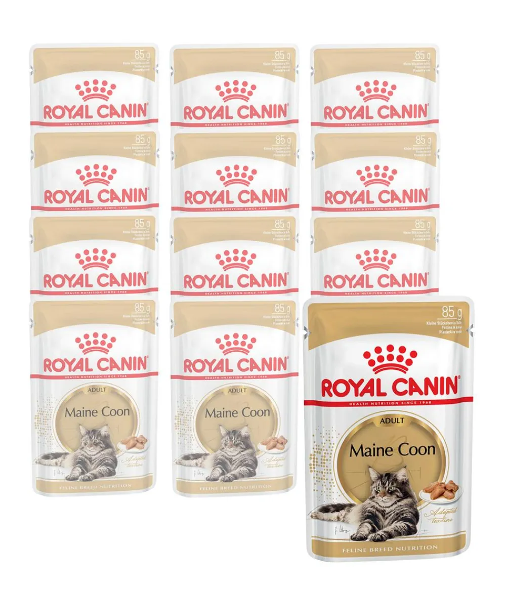 ROYAL CANIN® Nassfutter Katze > Nassfutter für Katzen Maine Coon Adult in Soße, 12 x 85 g