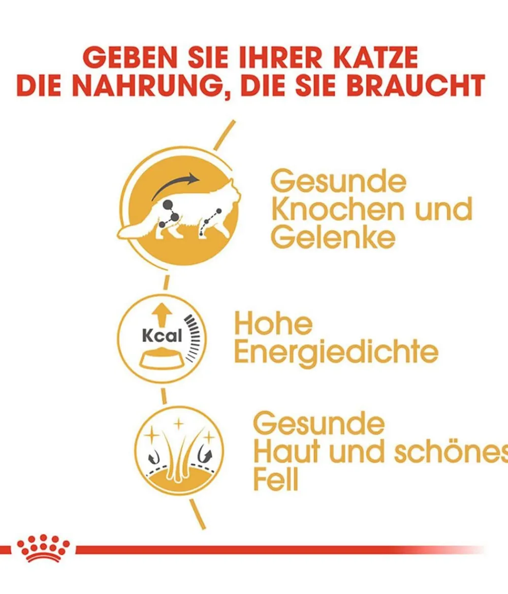 ROYAL CANIN® Nassfutter Katze > Nassfutter für Katzen Maine Coon Adult in Soße, 12 x 85 g