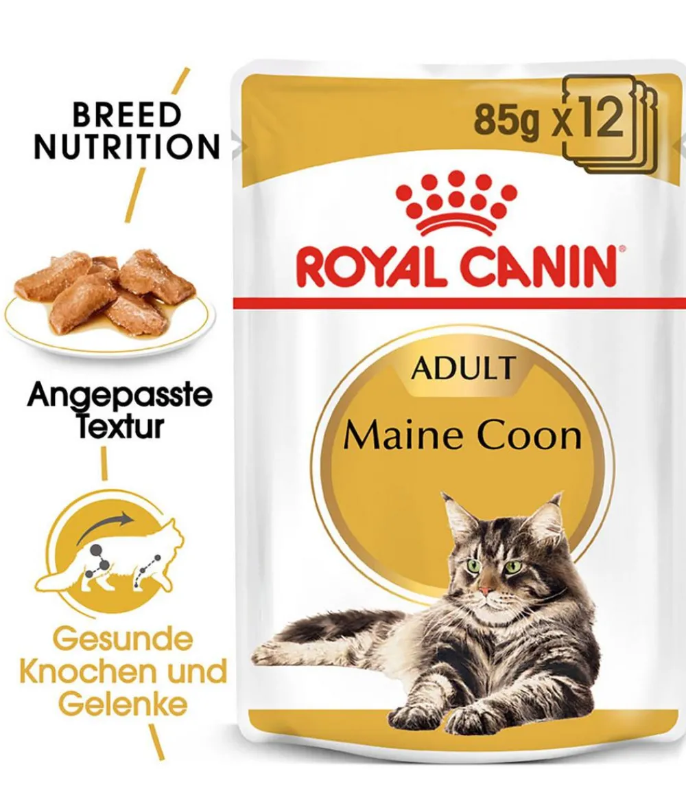 ROYAL CANIN® Nassfutter Katze > Nassfutter für Katzen Maine Coon Adult in Soße, 12 x 85 g