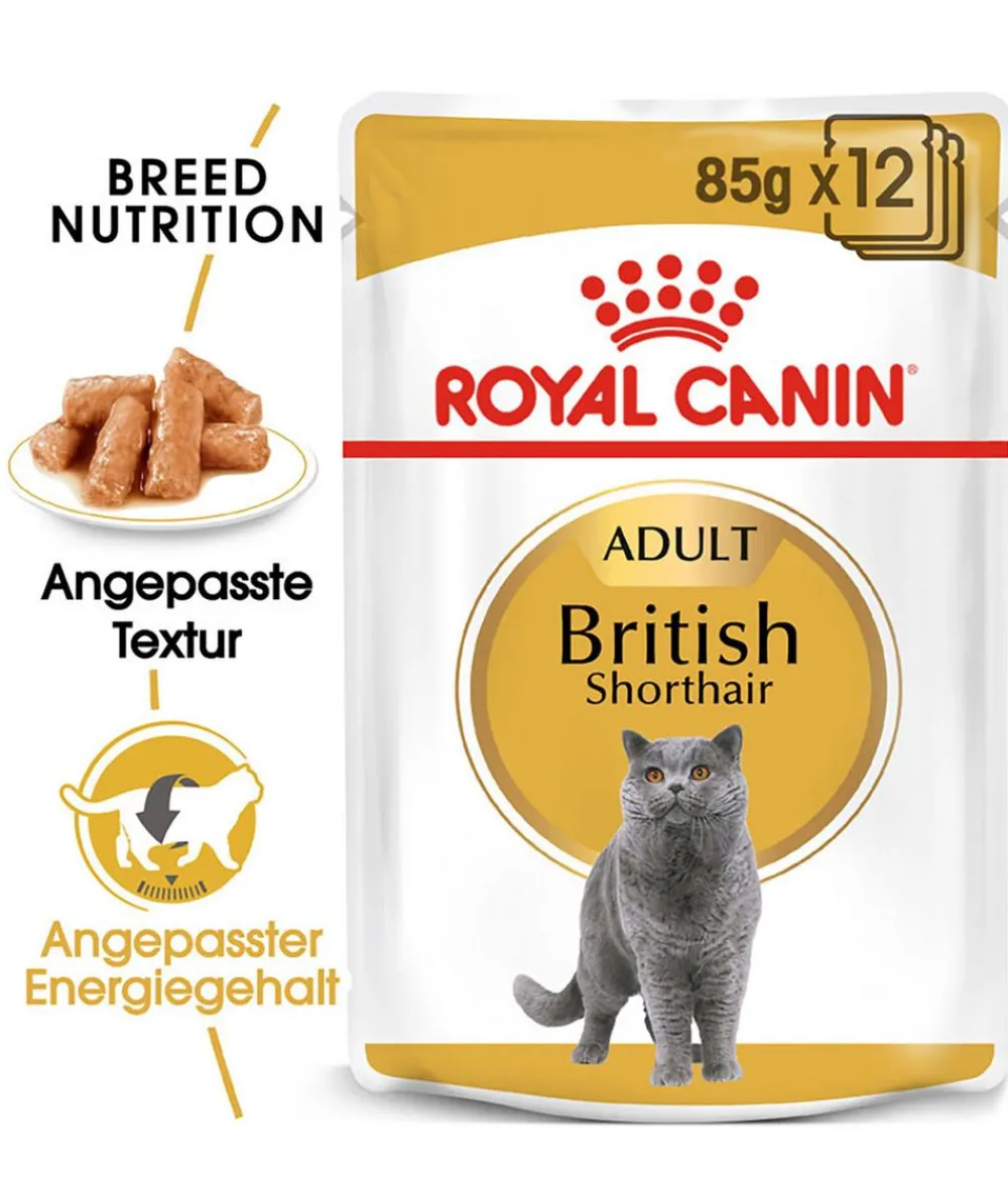 ROYAL CANIN® Nassfutter Katze - Nassfutter für Katzen British Shorthair in Soße, 12 x 85 g