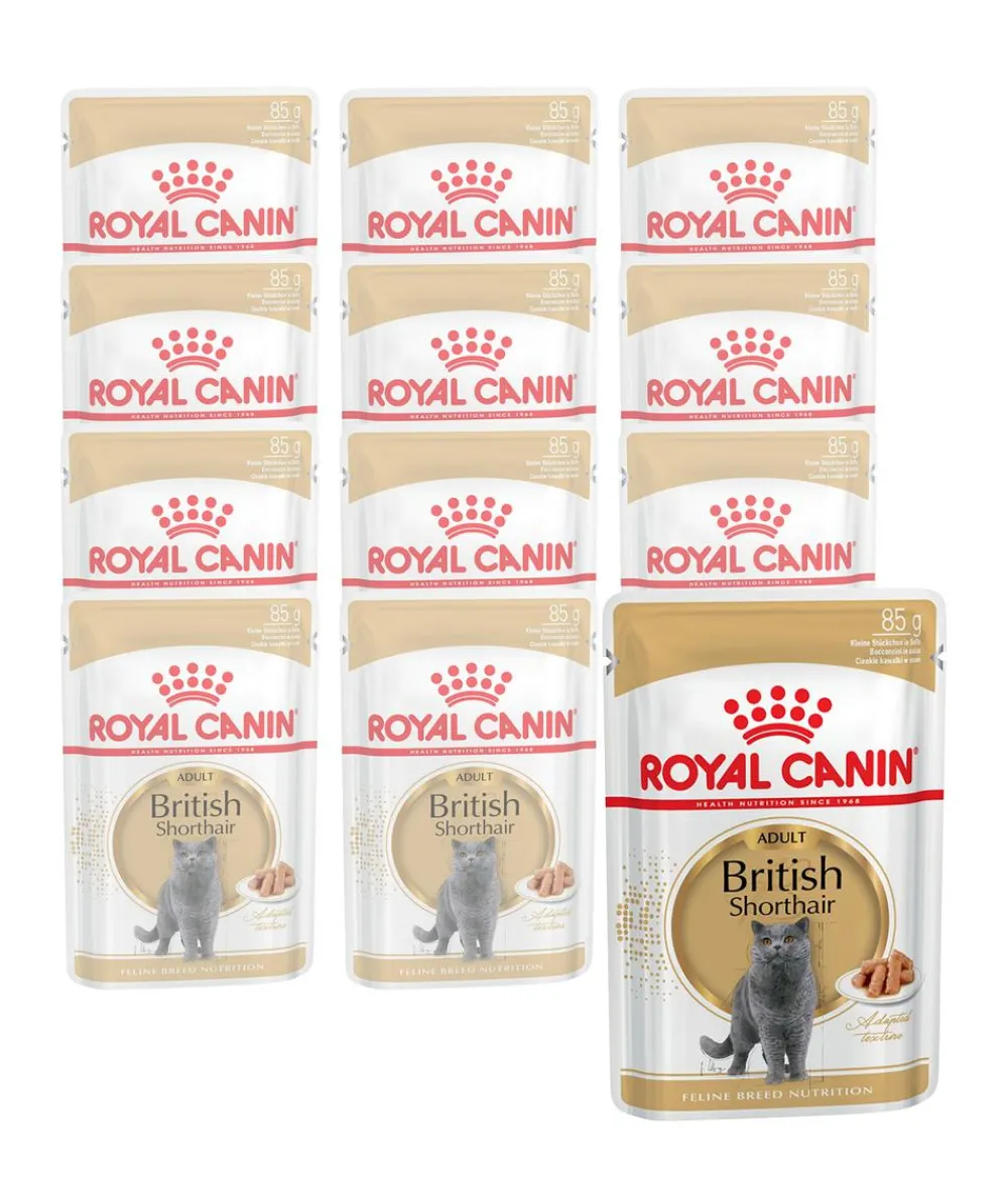 ROYAL CANIN® Nassfutter Katze - Nassfutter für Katzen British Shorthair in Soße, 12 x 85 g