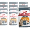 ROYAL CANIN® Royal Canin Nassfutter Intense Beauty, 12 x 85g