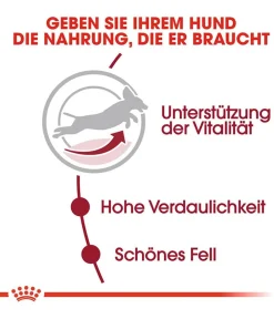 ROYAL CANIN® Trockenfutter Hund > Trockenfutter für Hunde Medium Adult 7+