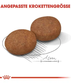 ROYAL CANIN® Trockenfutter für Hunde Medium Adult 7+ New