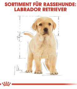 ROYAL CANIN® Trockenfutter für Hunde Labrador Retriever Puppy Discount