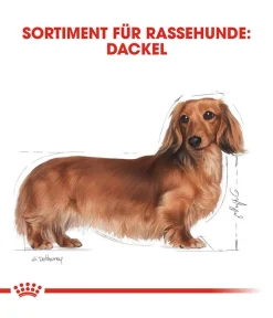 ROYAL CANIN® Trockenfutter für Hunde Dachshund Adult Hot