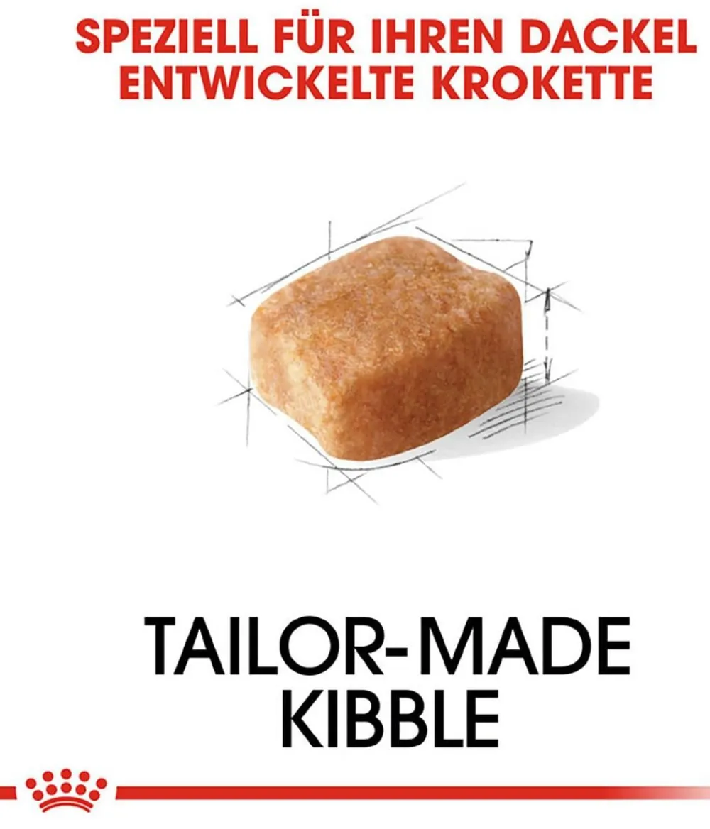 ROYAL CANIN® Trockenfutter Hund - Trockenfutter für Hunde Dachshund Adult