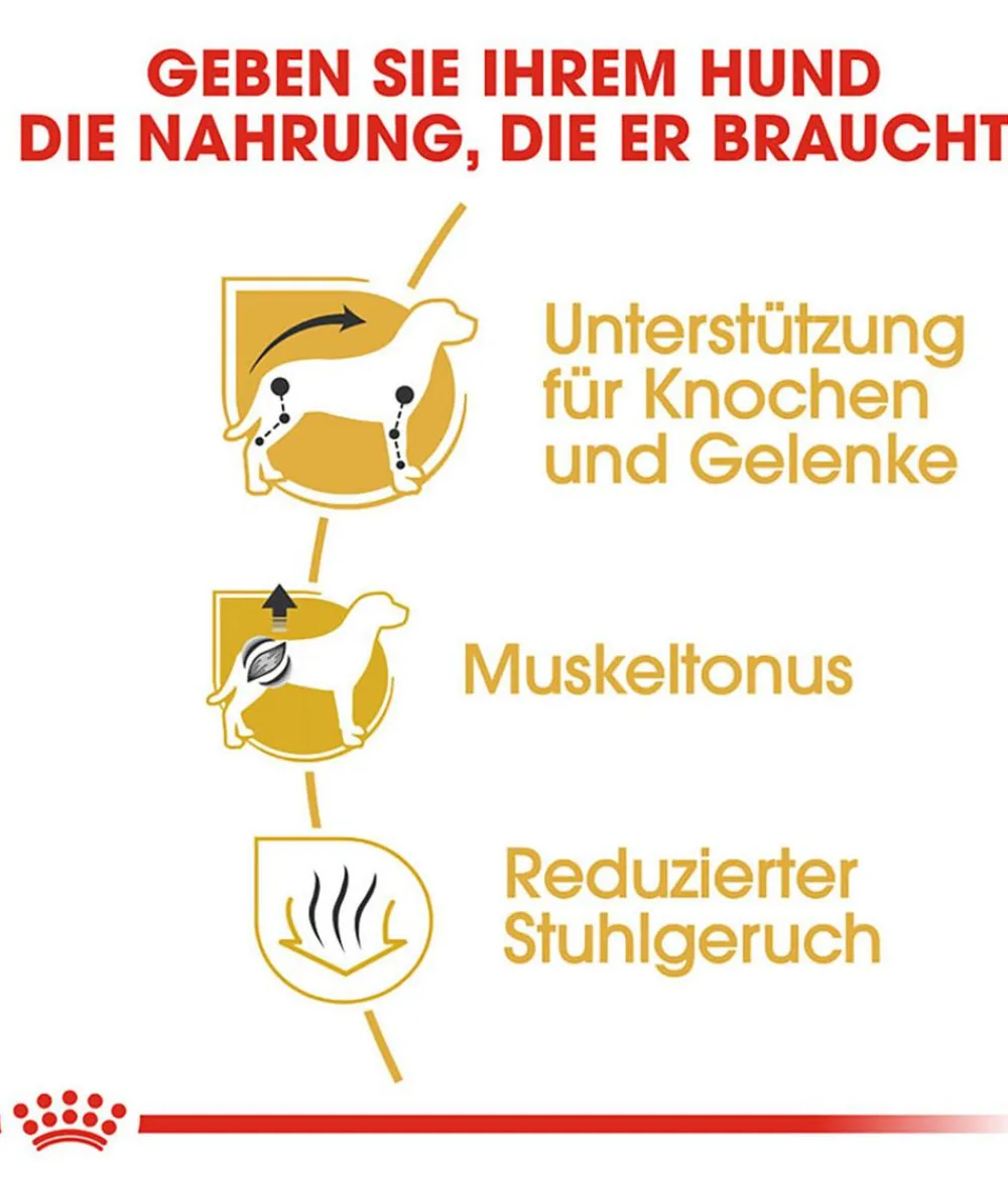 ROYAL CANIN® Trockenfutter Hund - Trockenfutter für Hunde Dachshund Adult
