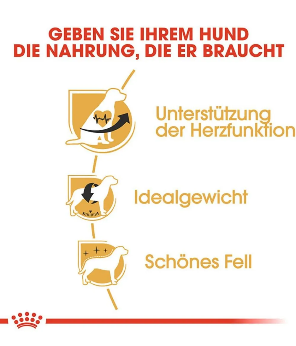 ROYAL CANIN® Trockenfutter Hund > Trockenfutter für Hunde Cavalier King Charles Adult