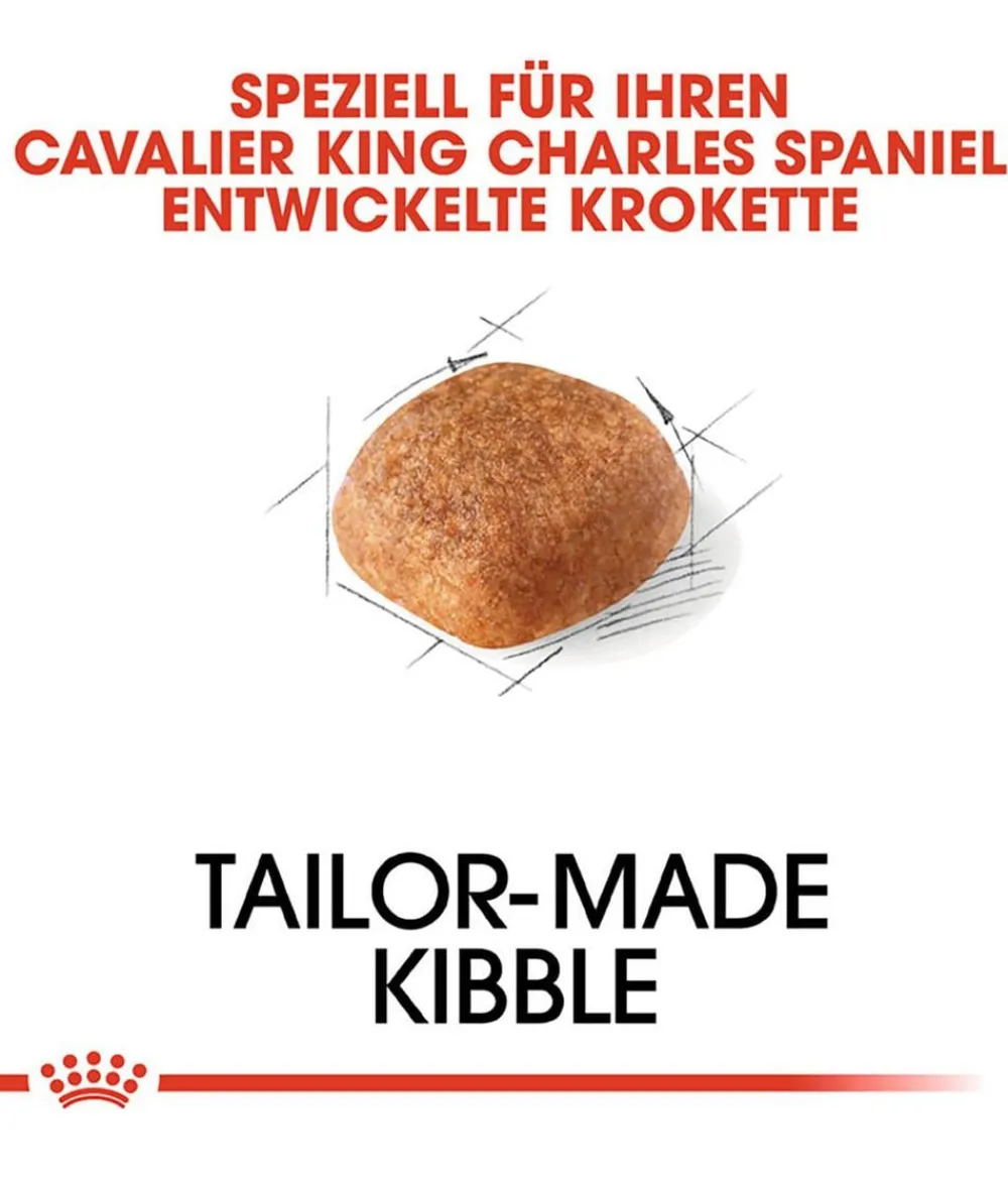 ROYAL CANIN® Trockenfutter Hund > Trockenfutter für Hunde Cavalier King Charles Adult