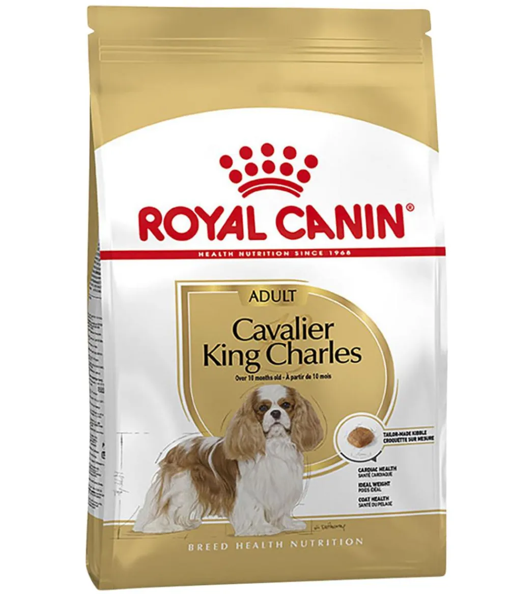 ROYAL CANIN® Trockenfutter Hund > Trockenfutter für Hunde Cavalier King Charles Adult