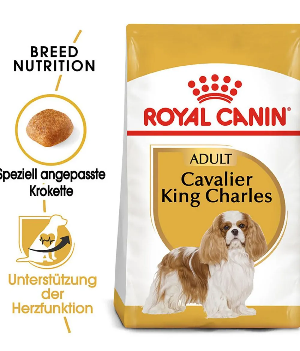 ROYAL CANIN® Trockenfutter Hund > Trockenfutter für Hunde Cavalier King Charles Adult
