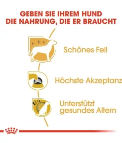 ROYAL CANIN® Trockenfutter für Hunde Yorkshire Terrier Adult Sale