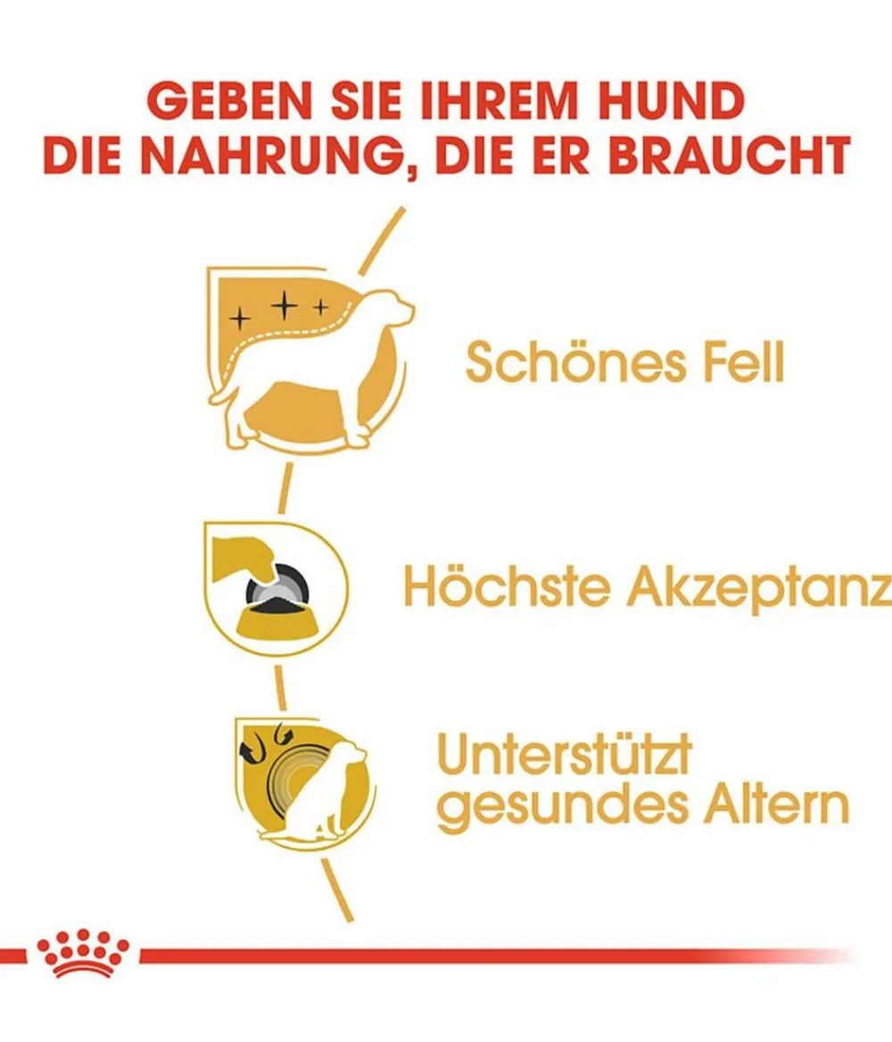 ROYAL CANIN® Trockenfutter für Hunde Yorkshire Terrier Adult Sale