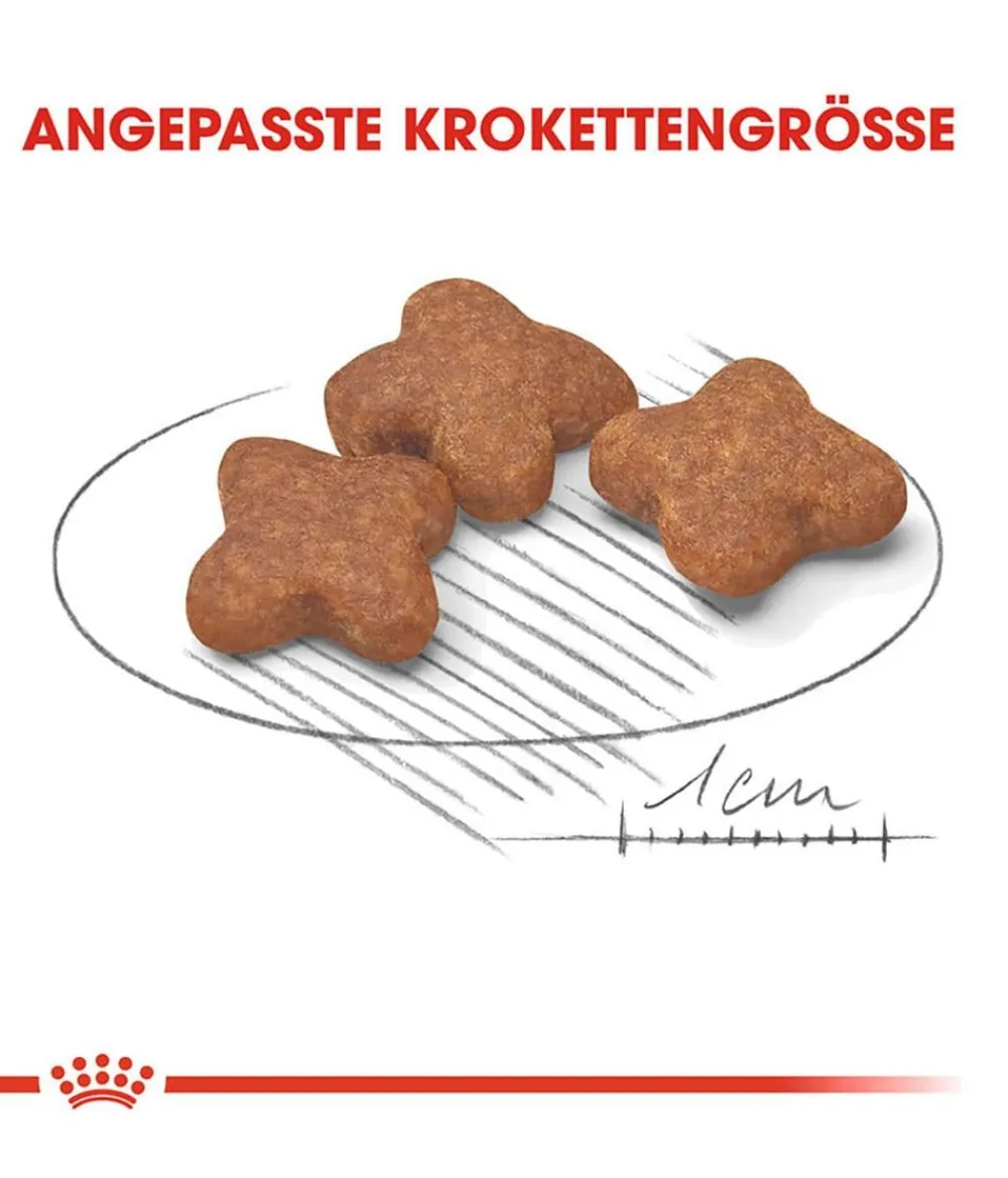 ROYAL CANIN® Trockenfutter für Hunde Mini Adult 8+ Online
