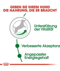 ROYAL CANIN® Trockenfutter für Hunde Mini Adult 8+ Online