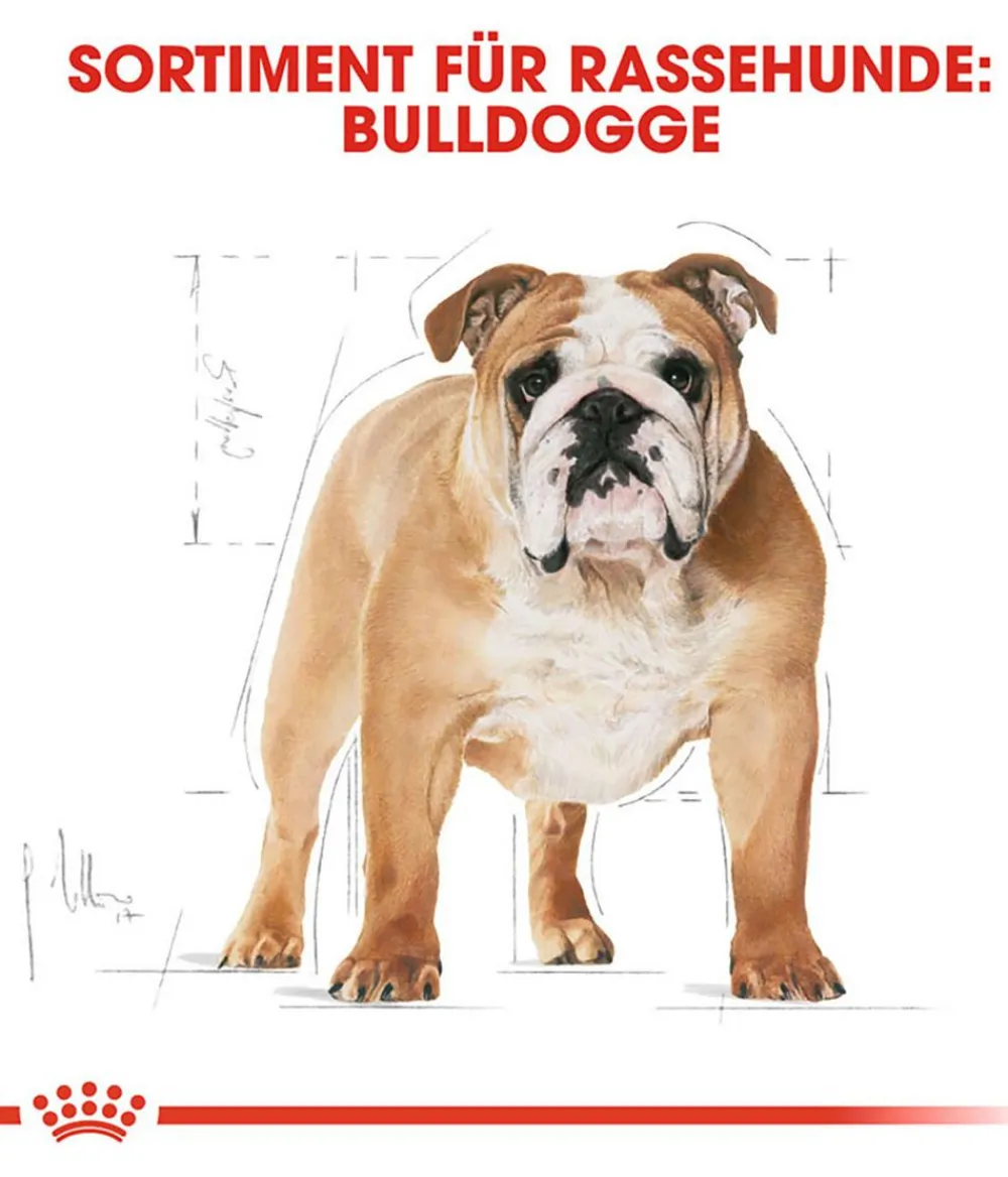 ROYAL CANIN® Trockenfutter Hund - Trockenfutter für Hunde Bulldog