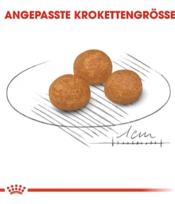 ROYAL CANIN® Trockenfutter Hund - Trockenfutter für Hunde Exigent Mini