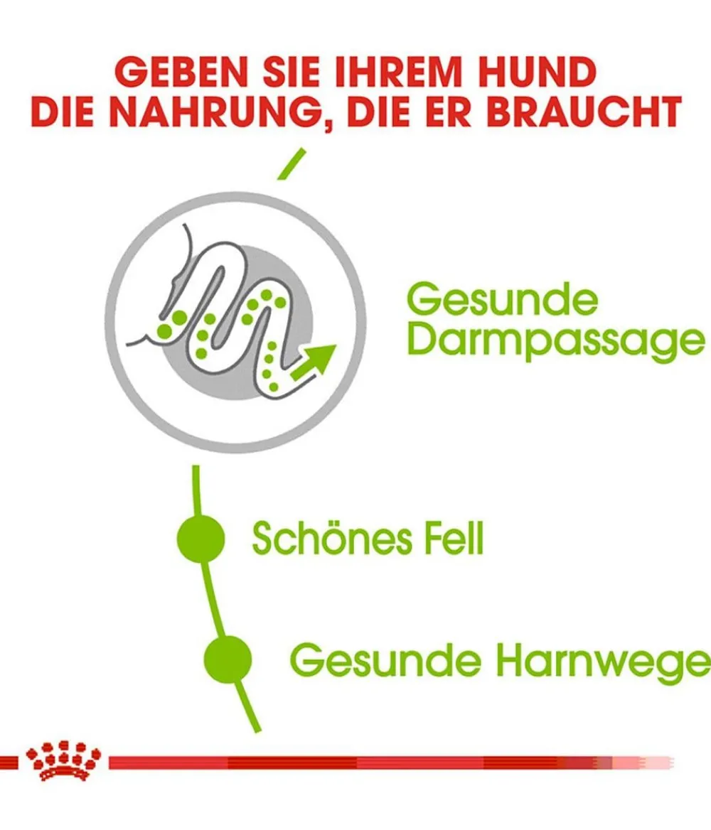 ROYAL CANIN® Trockenfutter für Hunde X-Small Adult Best