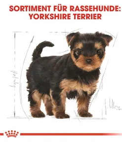 ROYAL CANIN® Trockenfutter Hund - Trockenfutter für Hunde Yorkshire Terrier Puppy