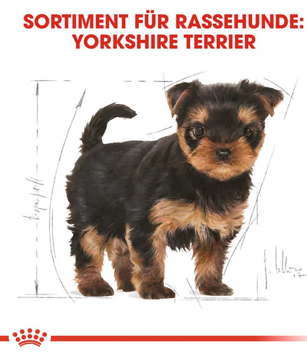 ROYAL CANIN® Trockenfutter Hund - Trockenfutter für Hunde Yorkshire Terrier Puppy