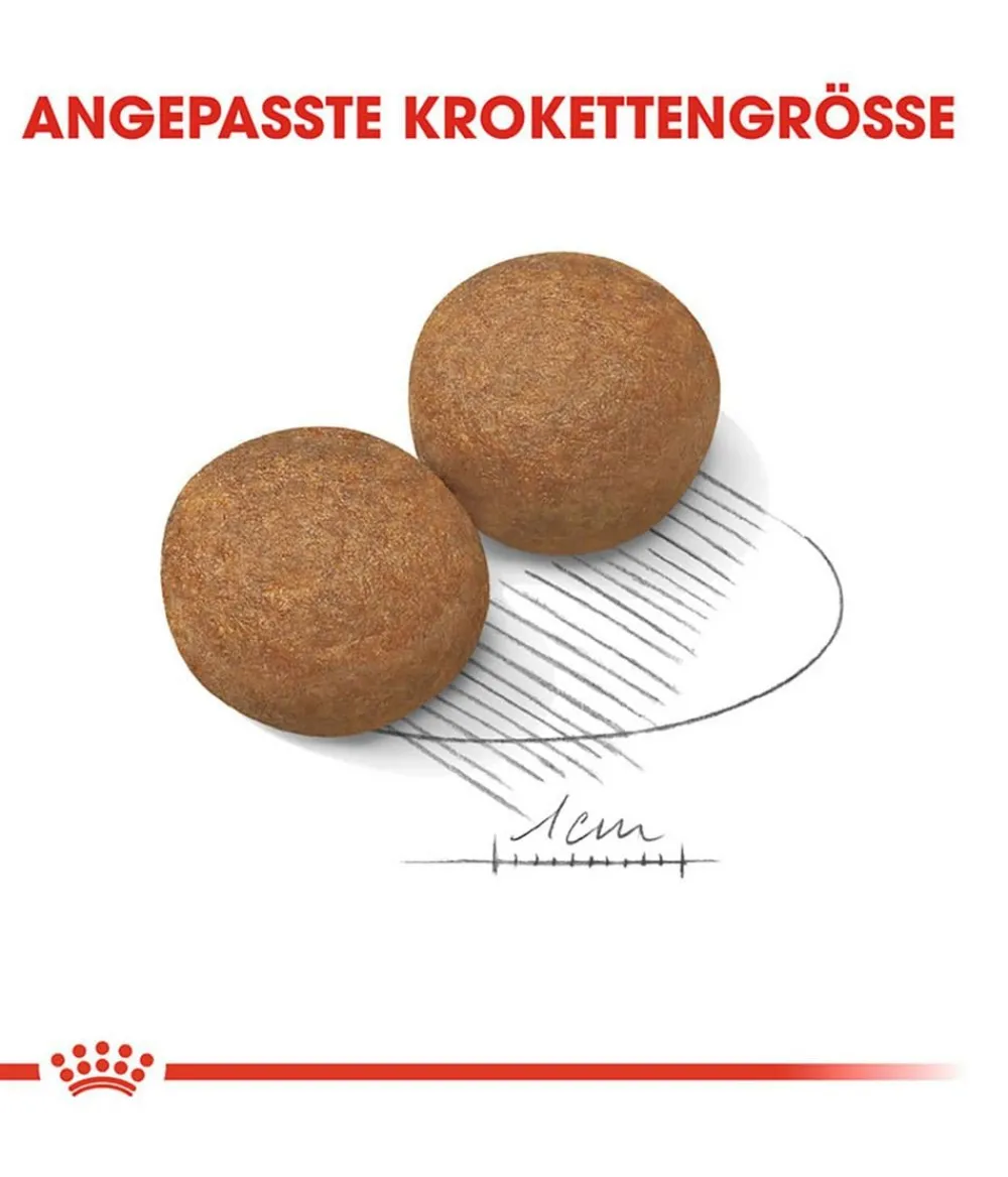 ROYAL CANIN® Trockenfutter Hund - Trockenfutter für Hunde 5+ Maxi Adult