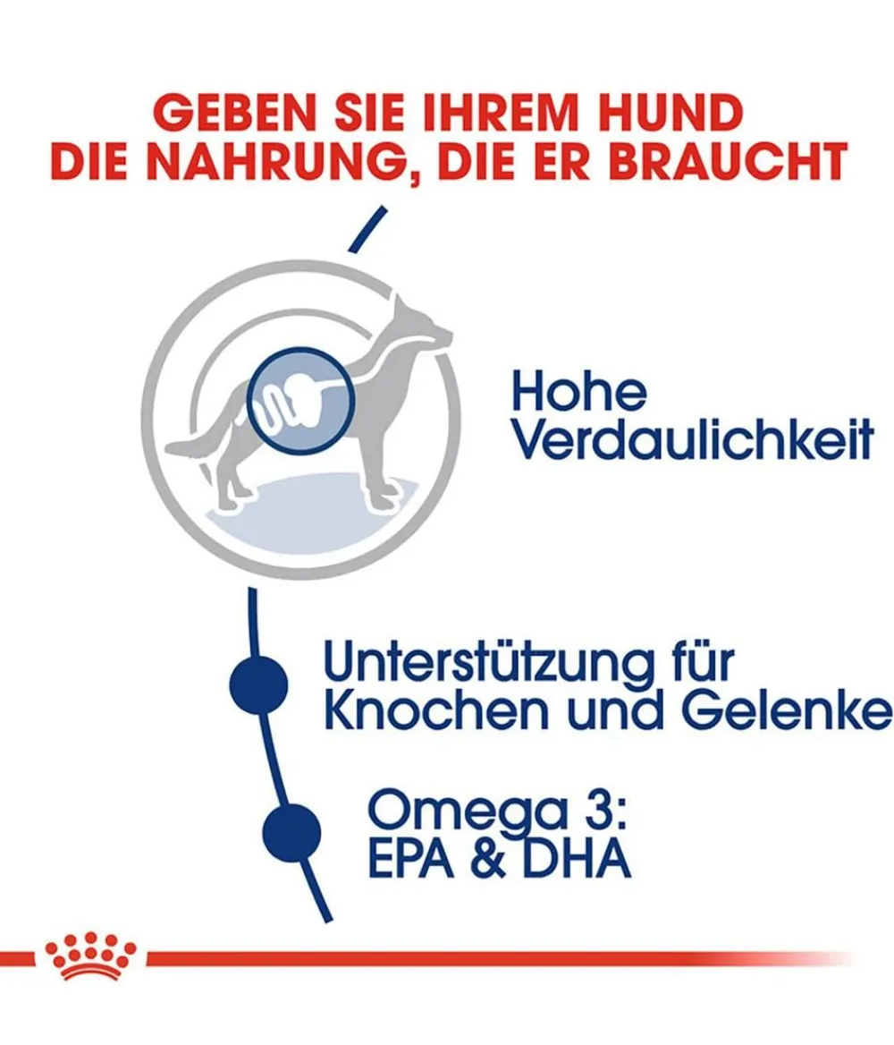 ROYAL CANIN® Trockenfutter Hund - Trockenfutter für Hunde 5+ Maxi Adult