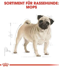 ROYAL CANIN® Trockenfutter Hund - Trockenfutter für Hunde Pug Adult
