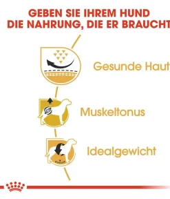ROYAL CANIN® Trockenfutter Hund - Trockenfutter für Hunde Pug Adult
