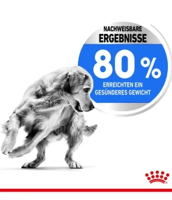 ROYAL CANIN® Trockenfutter Hund > Trockenfutter für Hunde Light Weight Care Medium, 3 kg